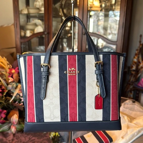 Coach Multicolor Striped Women's Bag - Picture 12 of 16